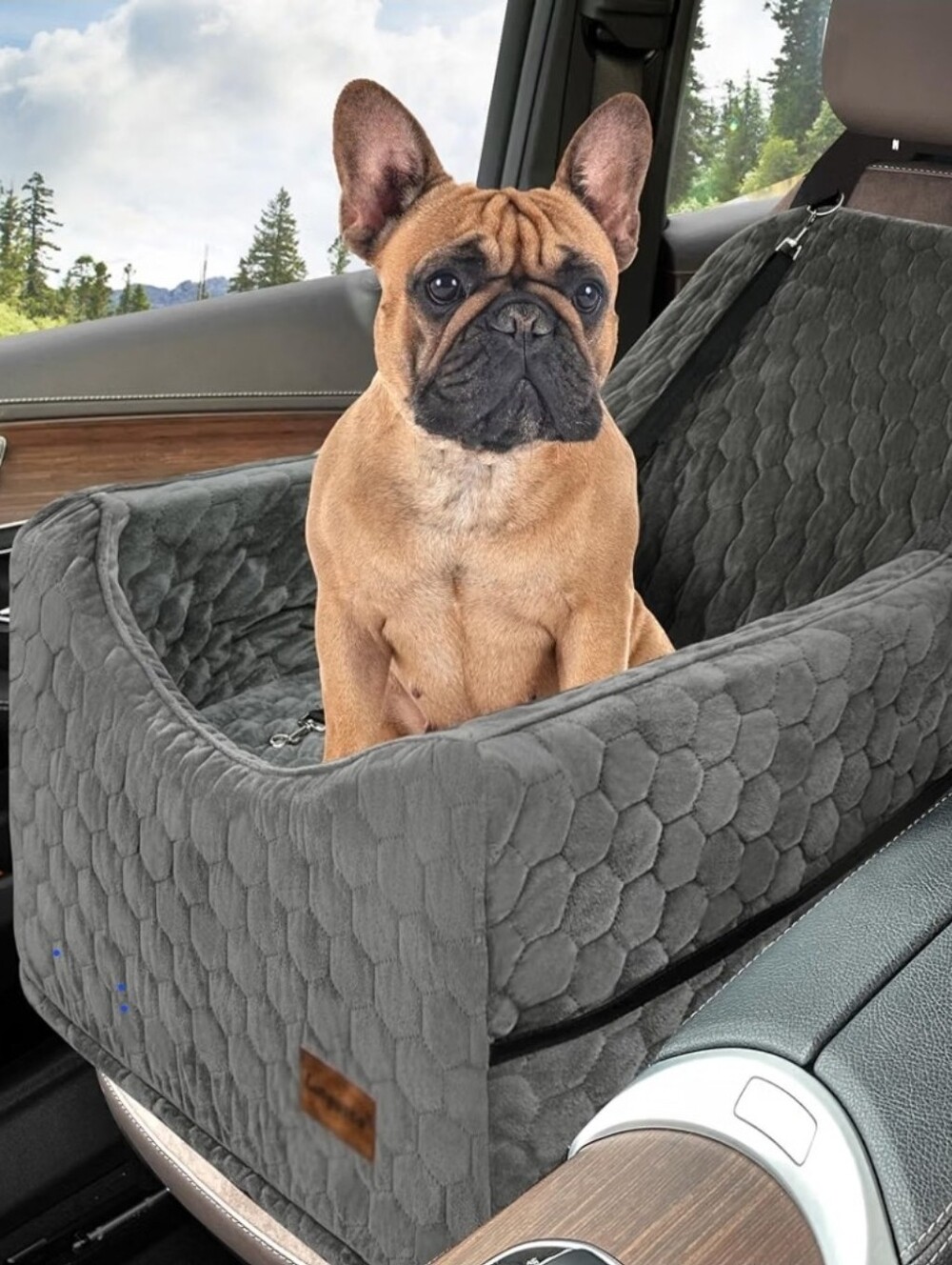 Dog Car Seat